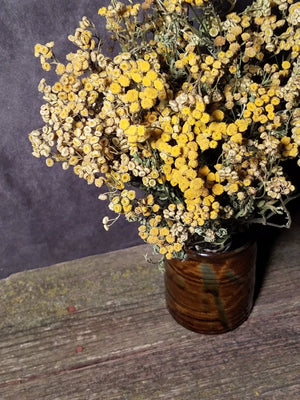 Dried Tansy Flowers