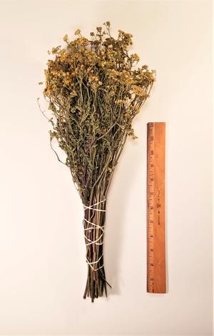 Dried Tansy Flowers