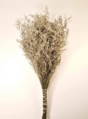 Dried Limonium Flowers