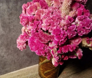 Dried Rose Celosia Flowers, Dried Rose Cockscomb