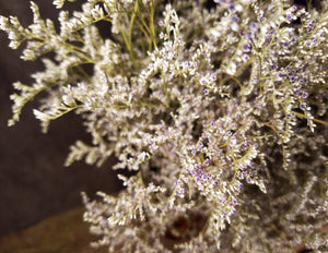 Dried Limonium Flowers