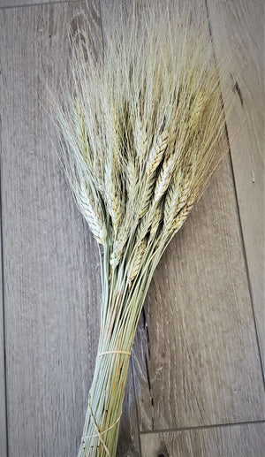 Dried Wheat Bundle