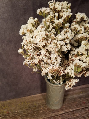 Dried White Statice Flowers