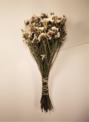 Dried White Statice Flowers