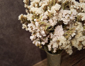 Dried White Statice Flowers