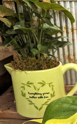 Coffee Mug with 4" Green Plant (6 Mug Types)