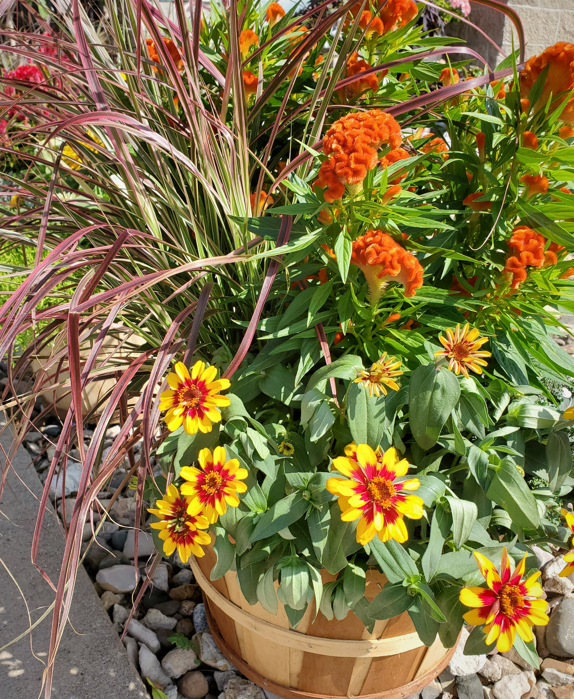 Fall Flower/Plant Basket Outdoor Patio