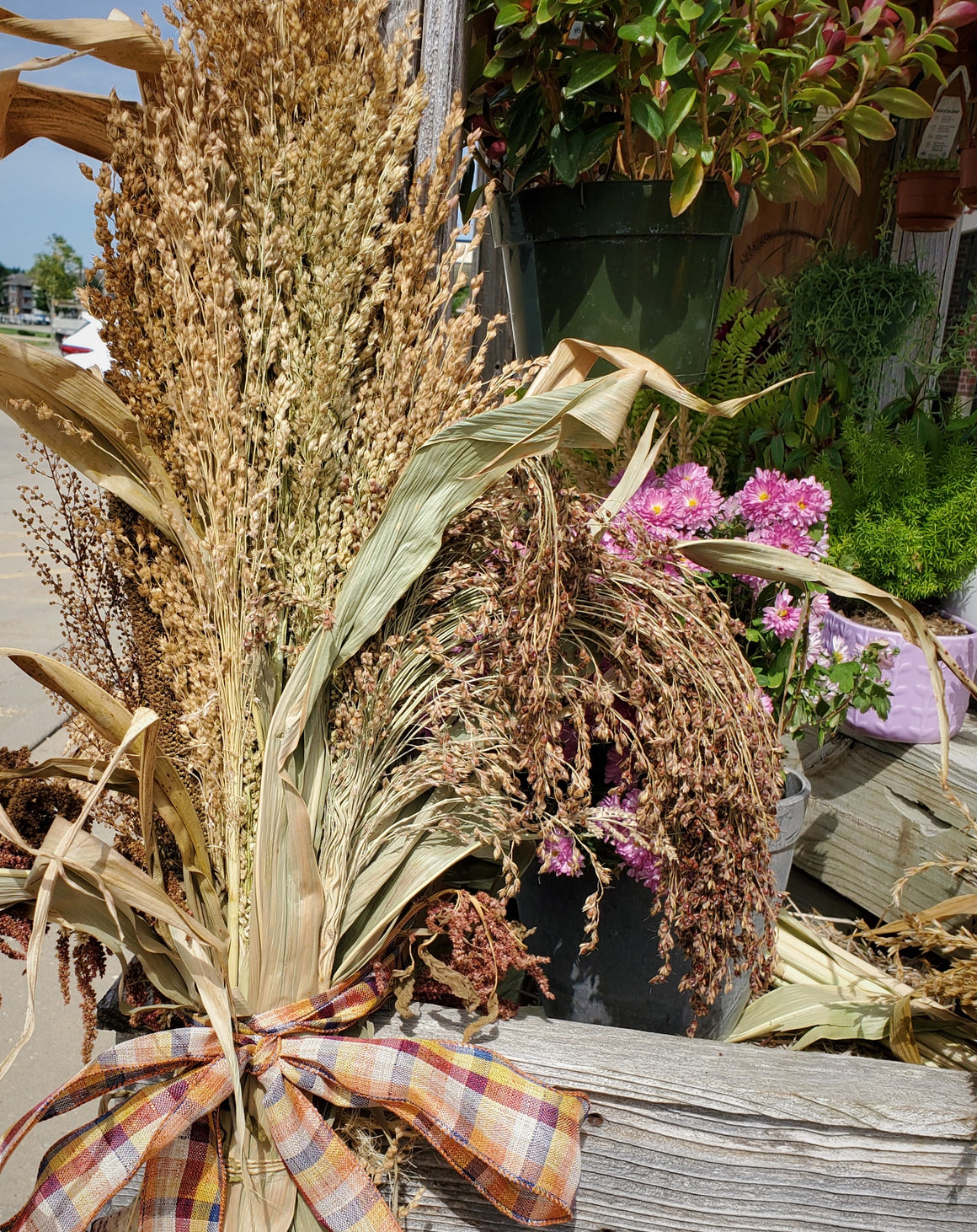 Dried Fall Cornstalk and Grass Bundles