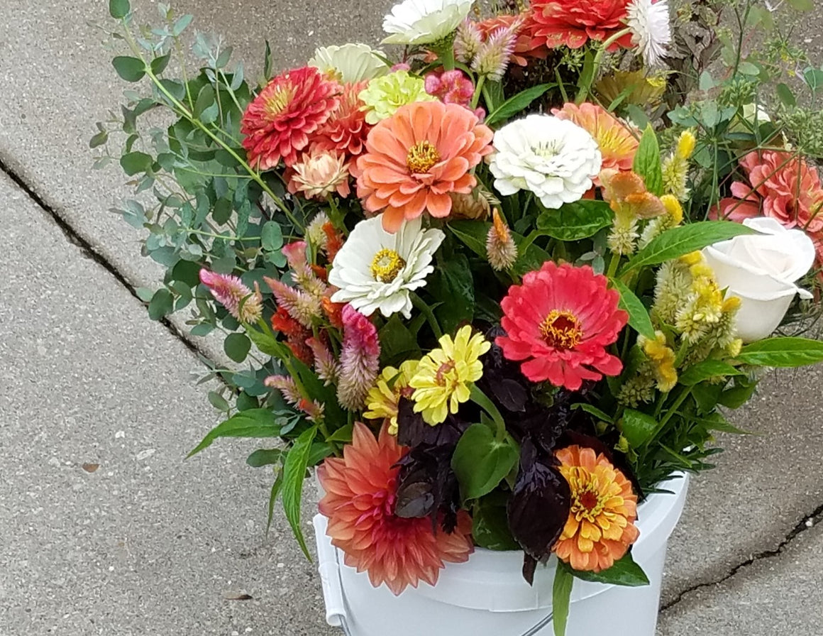 Bulk Flower and Greenery Bucket, Florist's Choice