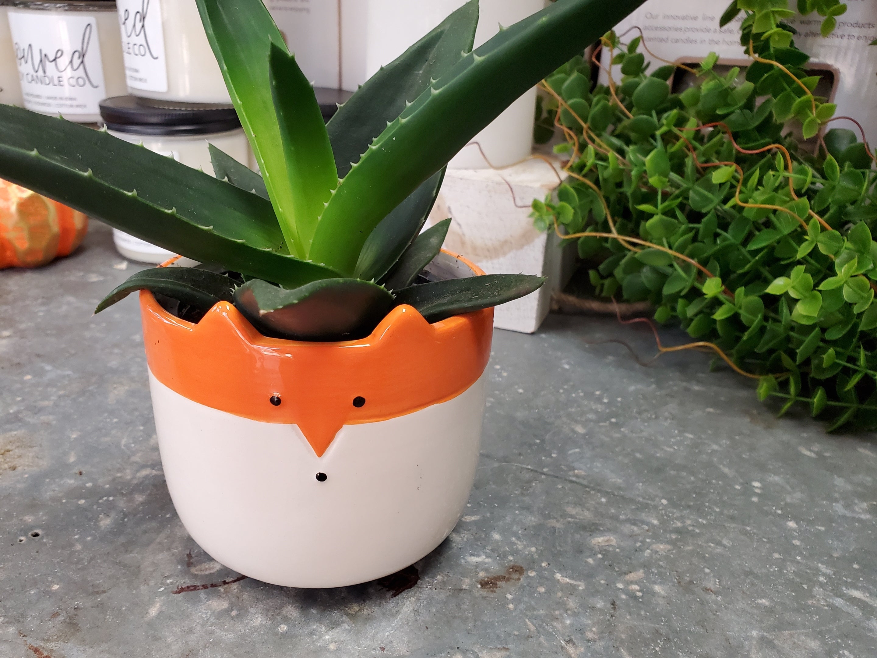 fox succulent planter Fox Ceramic Pot with Succulent