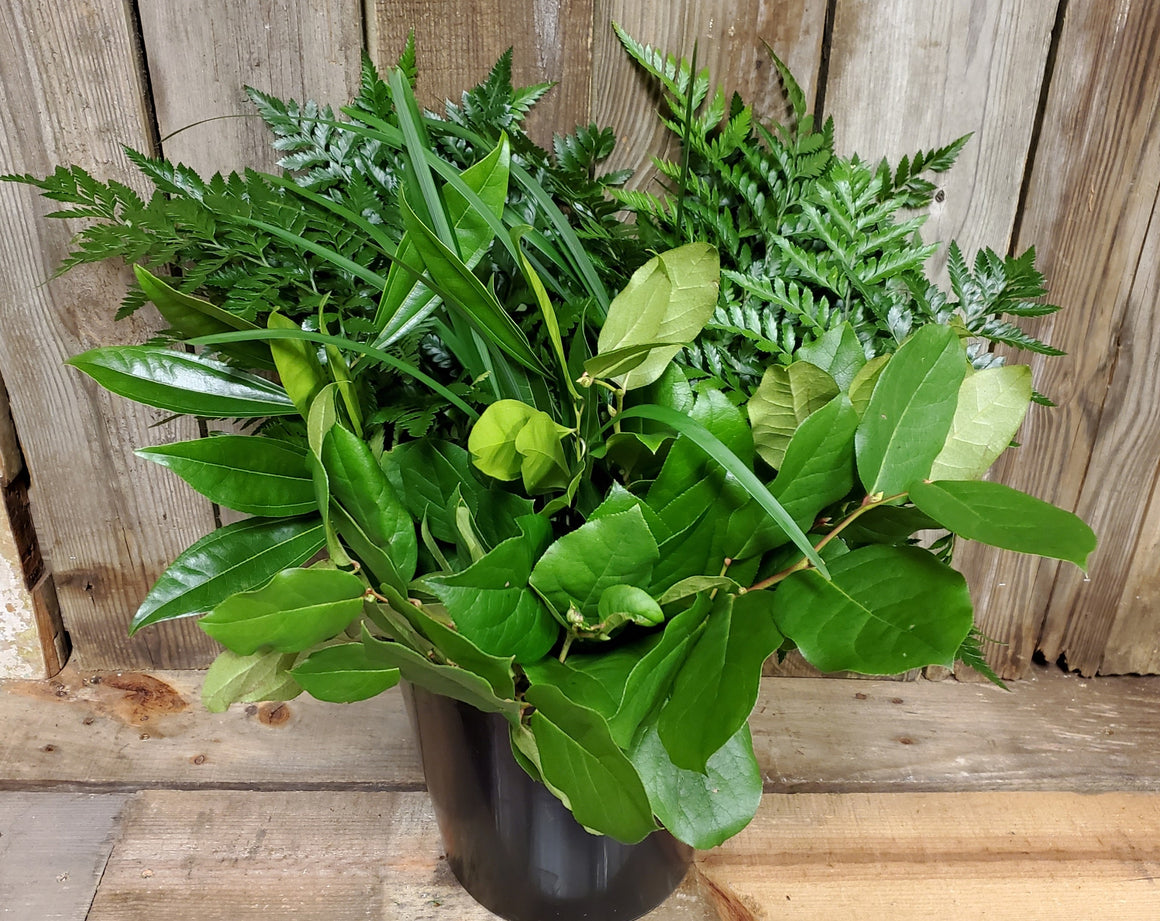 Bulk Greenery Bucket, Florist's Choice