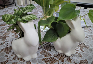 White Ceramic Bunny with Plant