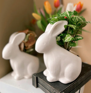 White Ceramic Bunny with Plant