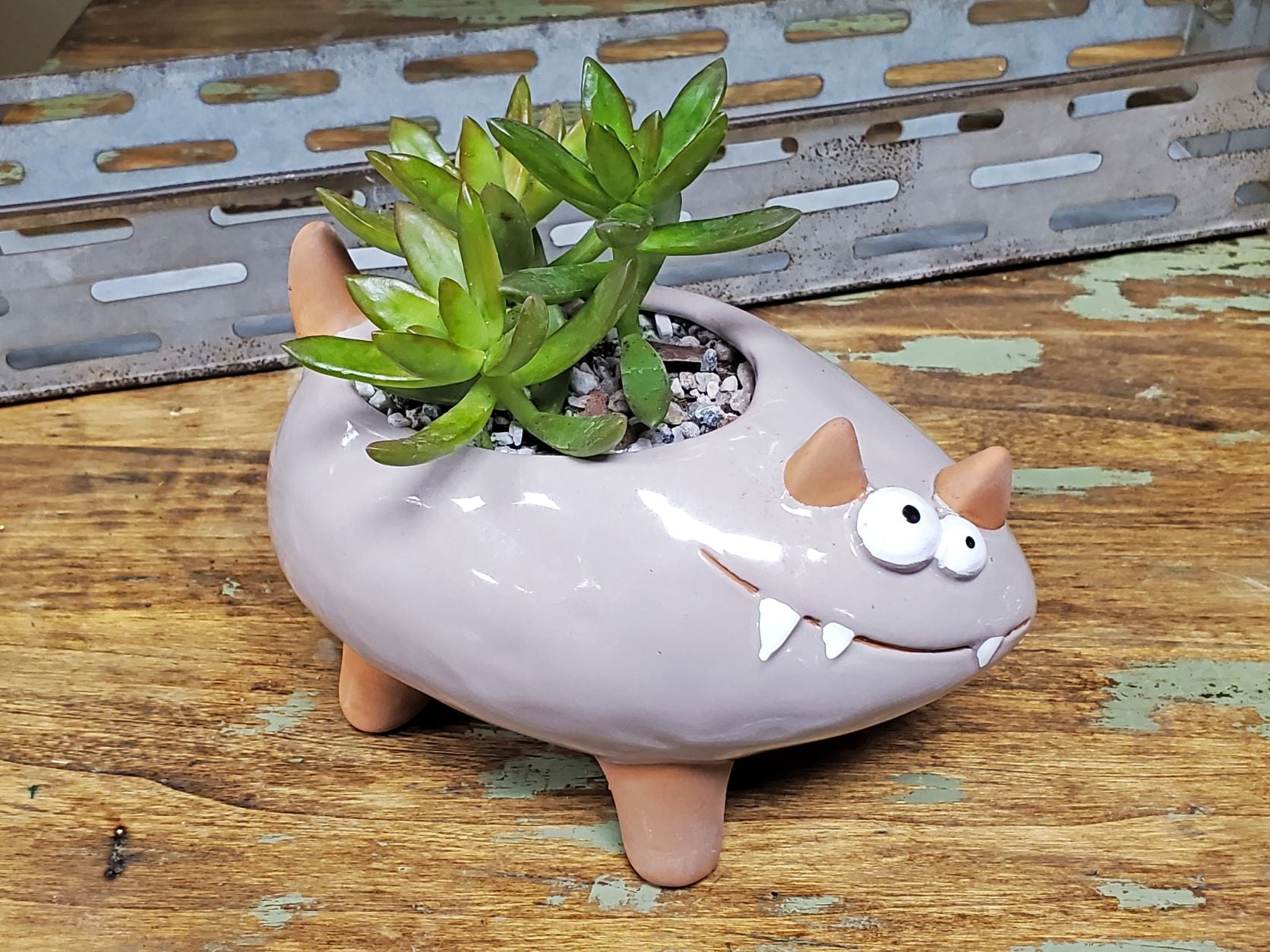 cat succulent pot Crazy Cat Ceramic Pot (with or without Plant)