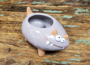 Crazy Cat Ceramic Pot (with or without Plant)