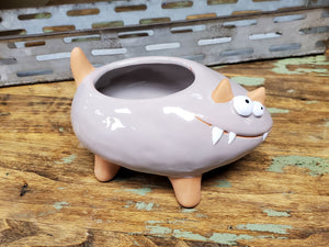 Crazy Cat Ceramic Pot (with or without Plant)