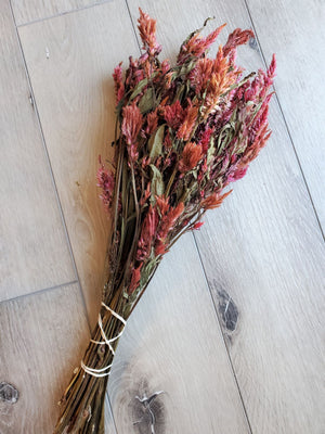 Dried Celosia Flowers, Dark Peach/Pink