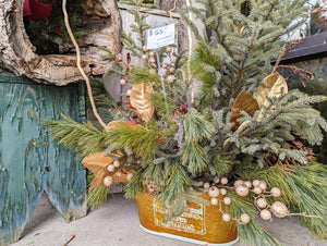 Outdoor Christmas Evergreen Basket
