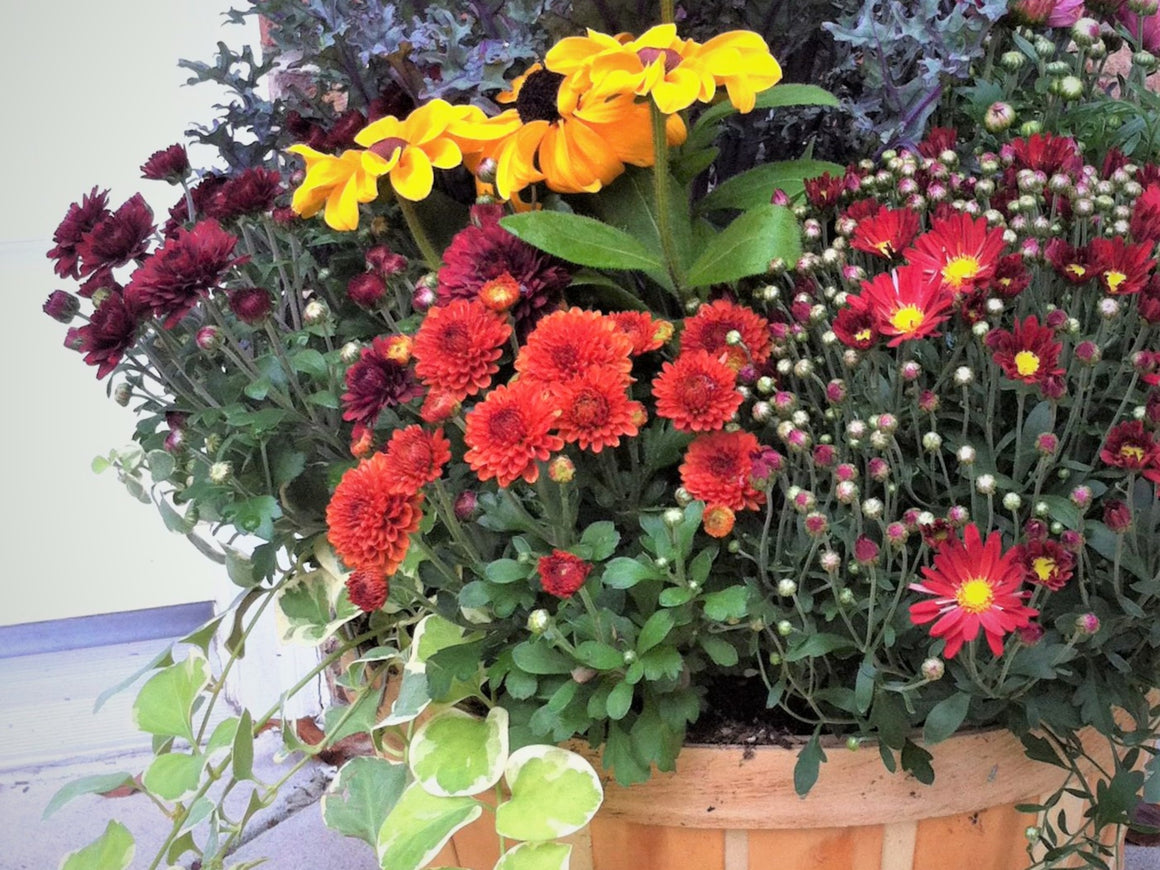Fall Flower/Plant Apple Basket
