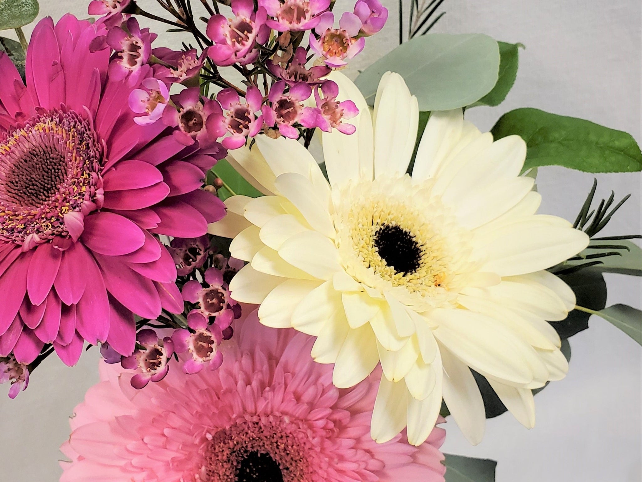 Gerbera Daisies in Bud Vase - E's Florals