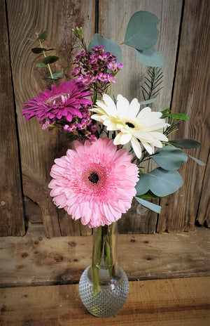 Gerbera Daisies in Bud Vase