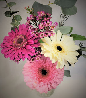 Gerbera Daisies in Bud Vase