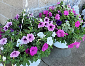 Hanging Flower Basket