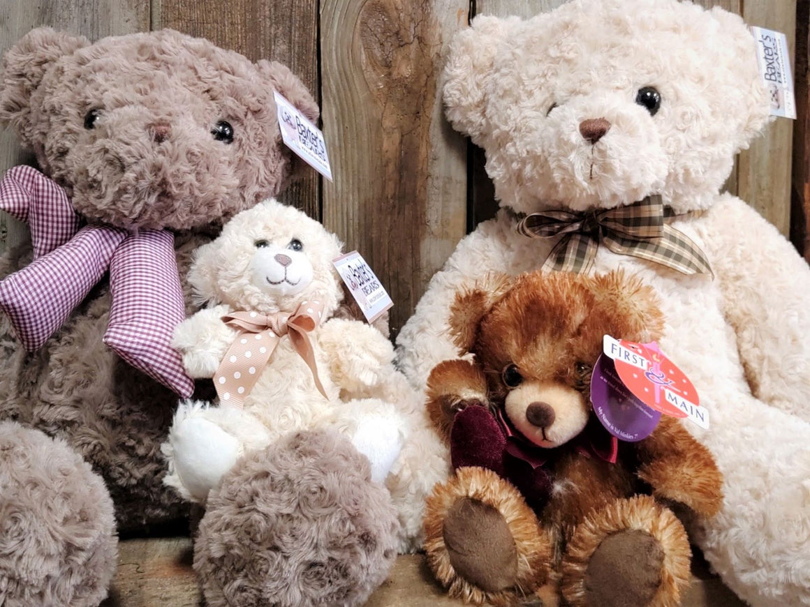 Plush, Stuffed Teddy Bear