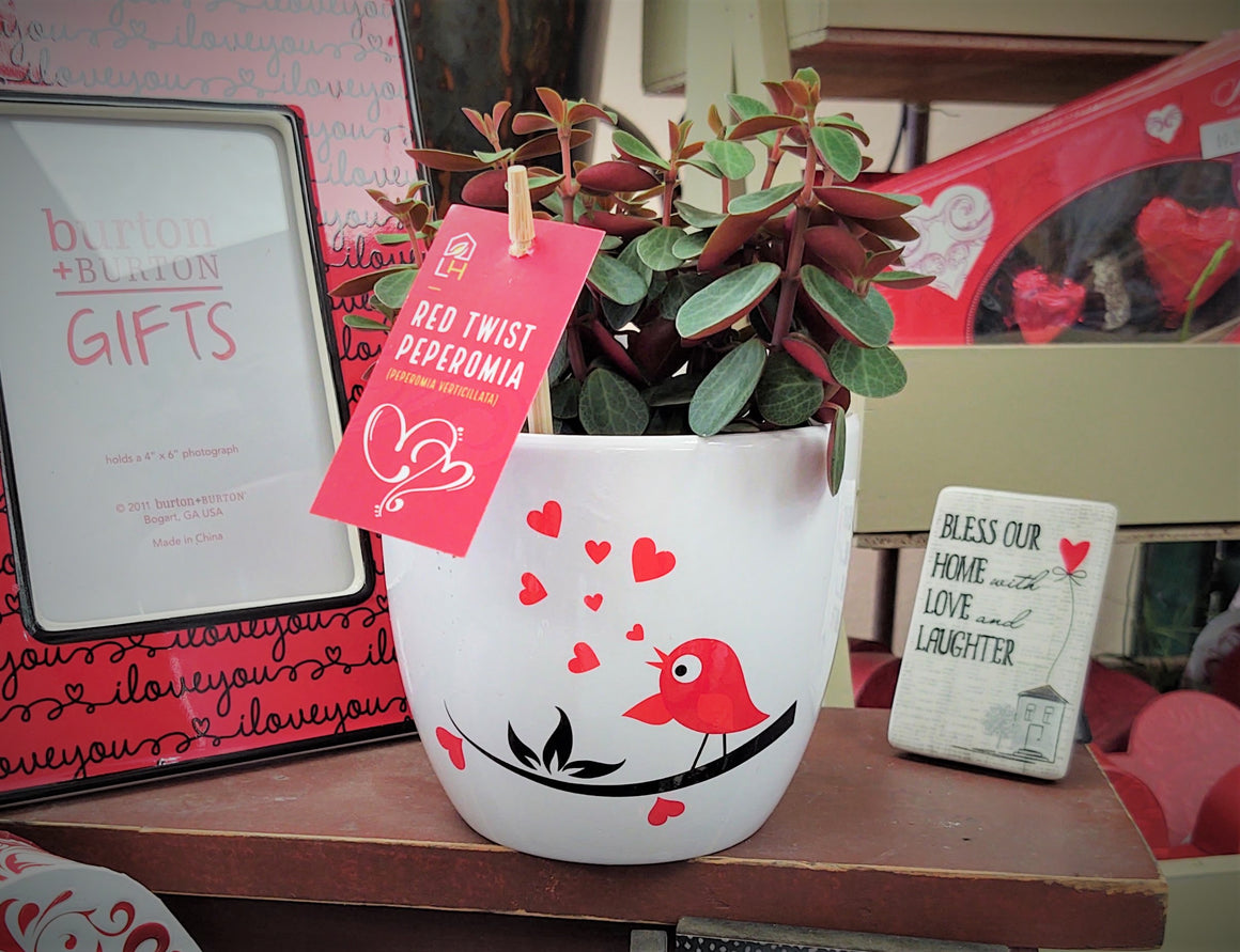 Bird Planter with Plant